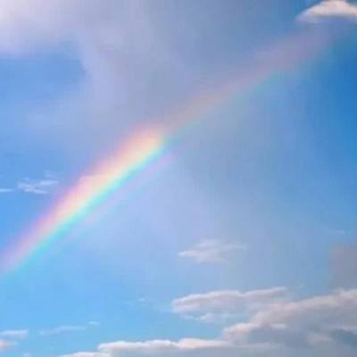 波胆app官网手机app下载